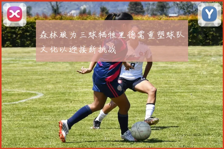 森林狼为三球牺牲里德需重塑球队文化以迎接新挑战
