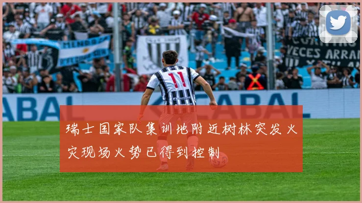 瑞士国家队集训地附近树林突发火灾现场火势已得到控制